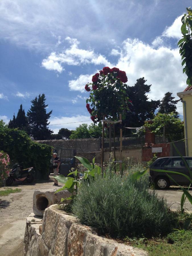 Serendipity Centre-free Parking * Dubrovnik